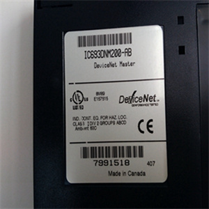 IC693DNM200模块备件