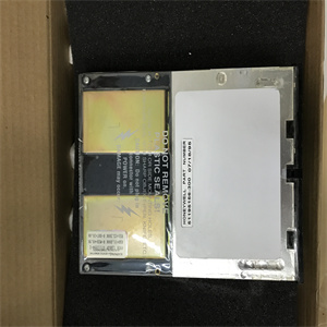 51195156-300模块备件中文PDF用户手册