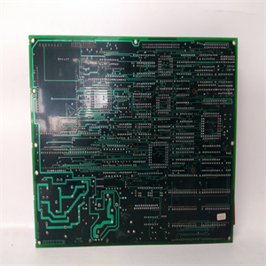 DS215DMCBG1AZZ03A模块备件产品质量