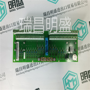 IS220PTCCH2AIS220PICCH2B模块备件产品外观